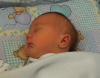 бебето Јаков