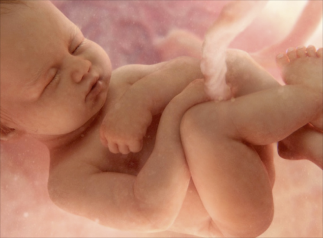 бебе во стомакот