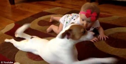 куче и бебе заедно лазат