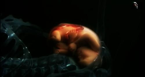 анимација на раѓање