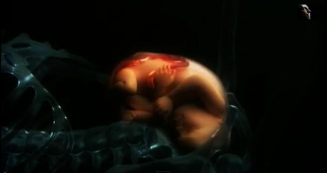 анимација на раѓање